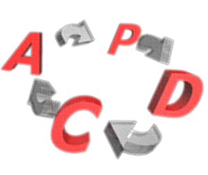 PDCAサイクルC